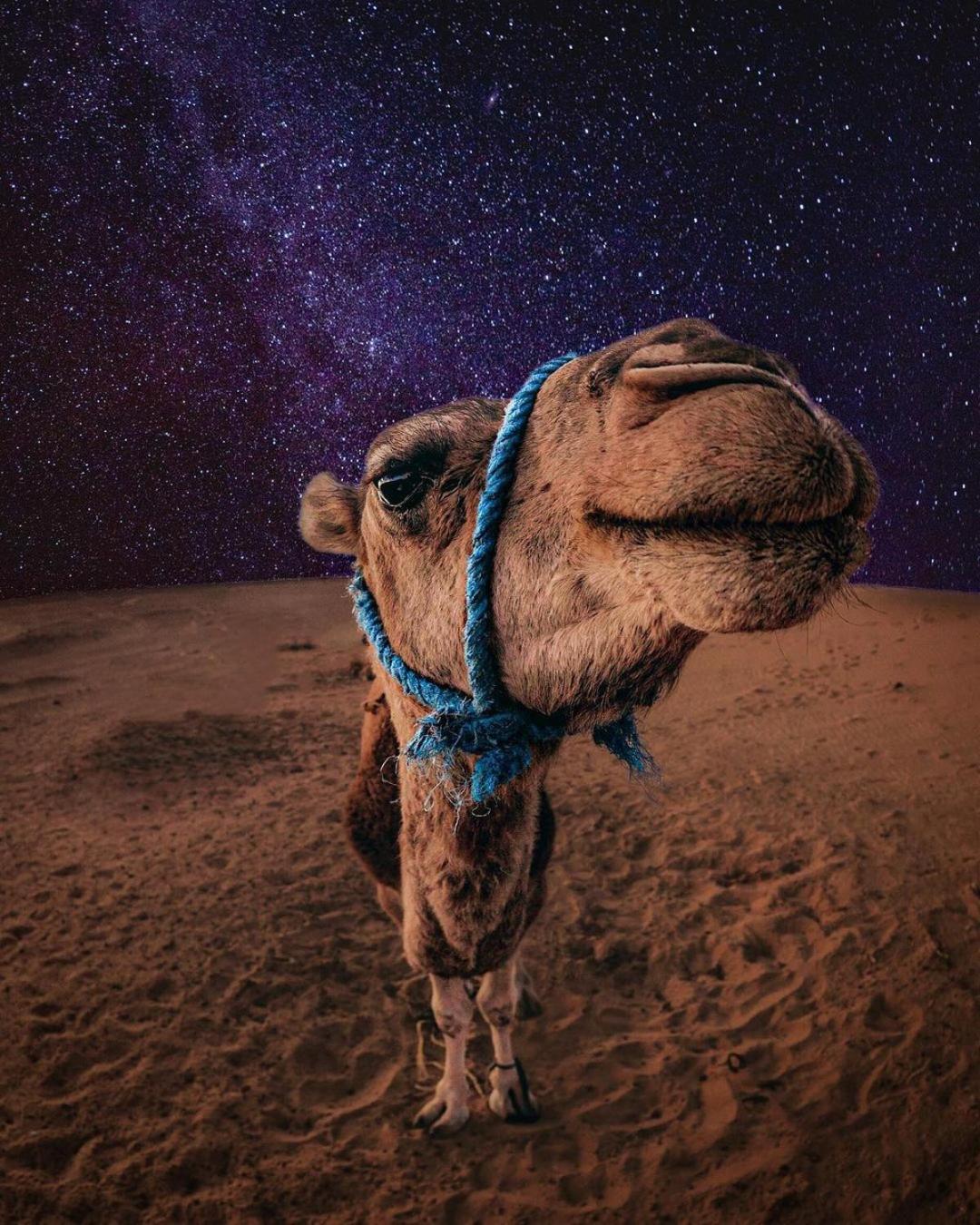 Merzouga Luxury Magic Nights Exterior photo